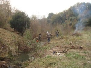 Gros débrousaillage